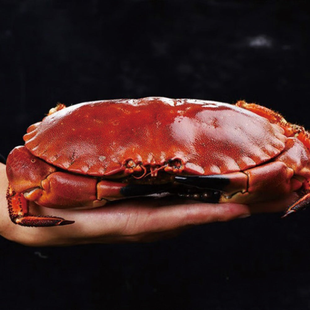 “Sweet & Juicy Red Crab – Premium, Table-Ready Delight”