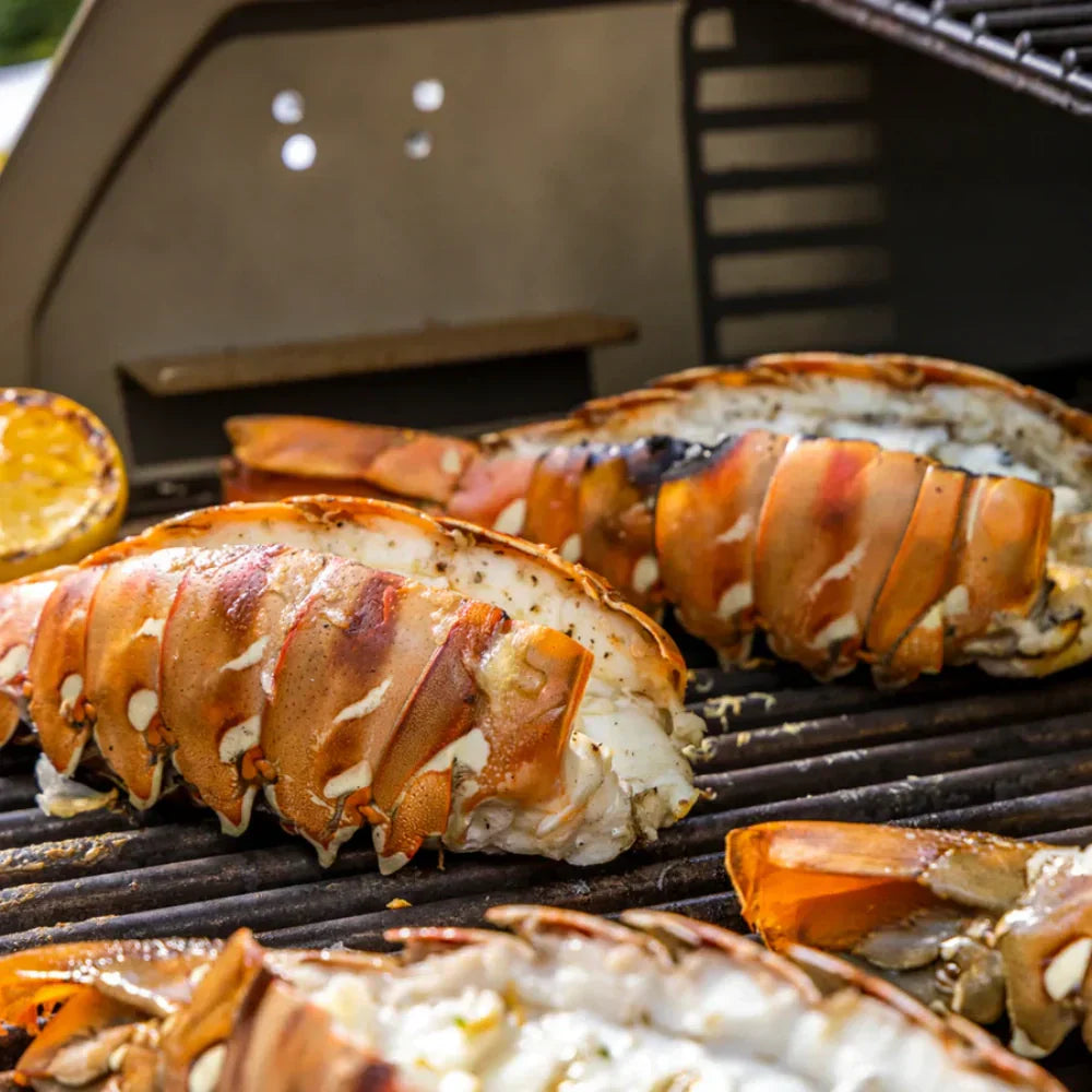 “Chef-Ready Premium Lobster Tail – Sweet, Firm, Luxurious”